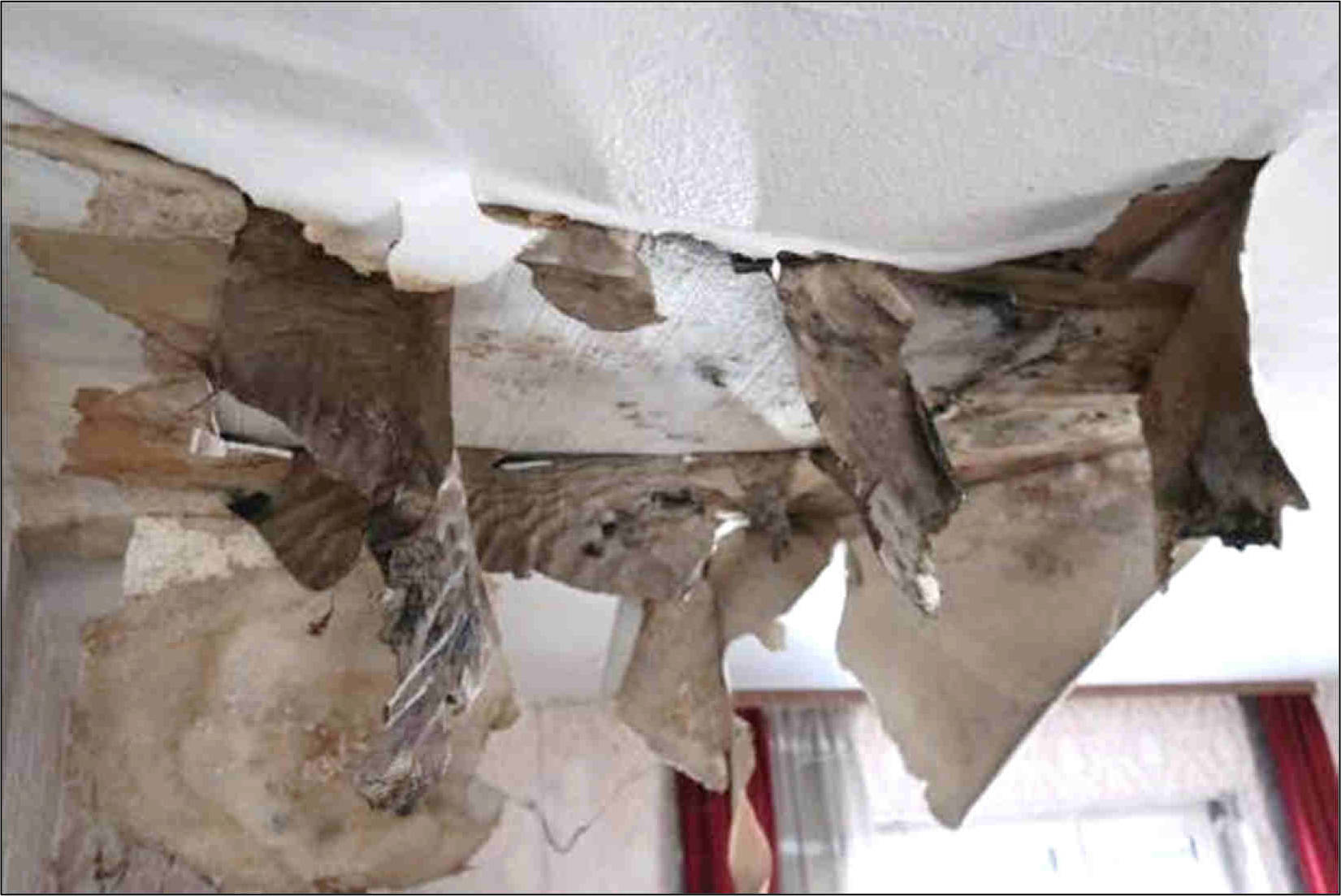 Einfamilienhaus und unbebautes Grundstück in Rathausgasse 6, 61200 Wölfersheim - Bild 3