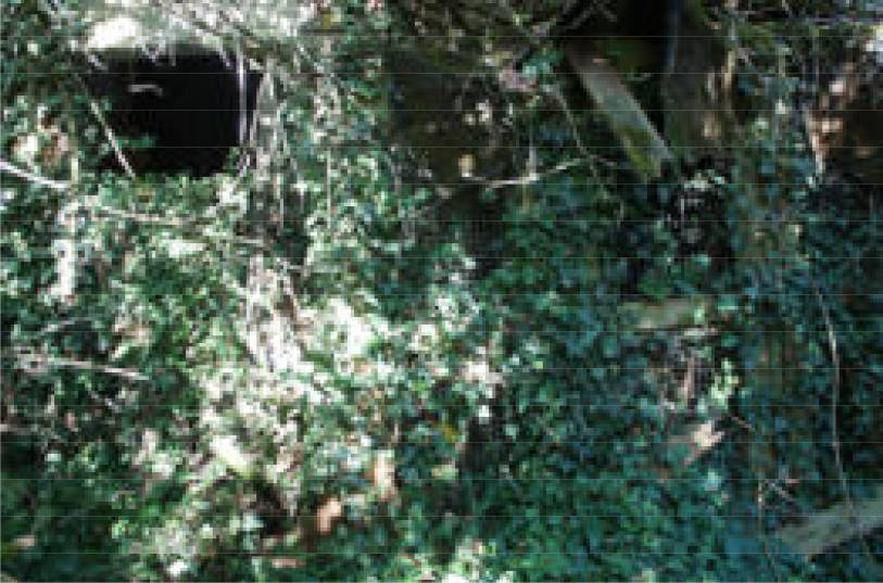 hessen 0063 K 0018/2022 Am Alten Pfarrhaus 8, 35510 Butzbach, Pohl-Göns 20