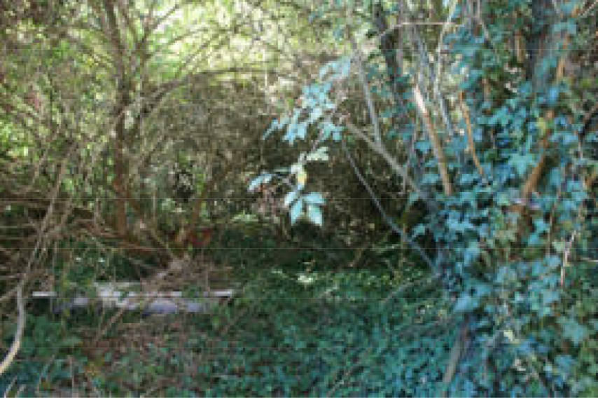 hessen 0063 K 0018/2022 Am Alten Pfarrhaus 8, 35510 Butzbach, Pohl-Göns 31