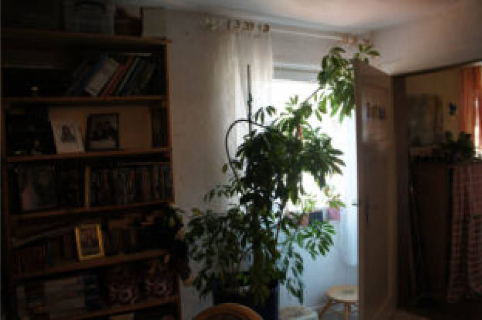 hessen 0063 K 0018/2022 Am Alten Pfarrhaus 8, 35510 Butzbach, Pohl-Göns 9