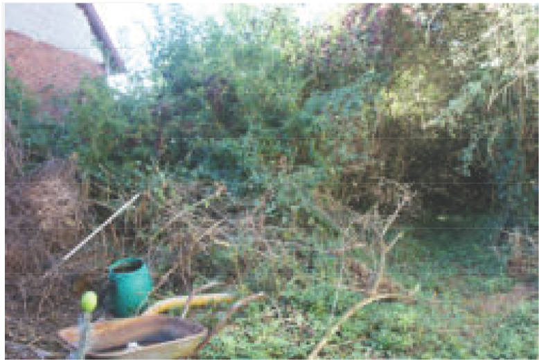 hessen 0063 K 0018/2022 Am Alten Pfarrhaus 8, 35510 Butzbach, Pohl-Göns 28