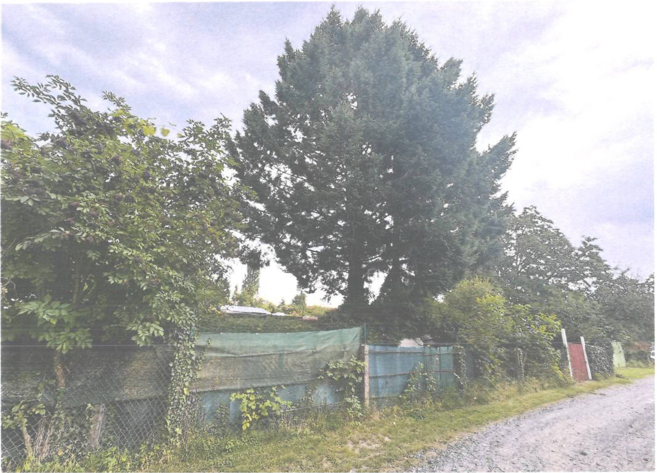 land- und forstwirtschaftlich genutztes Grundstück in Hetgesborn, 35510 Butzbach - Bild 3