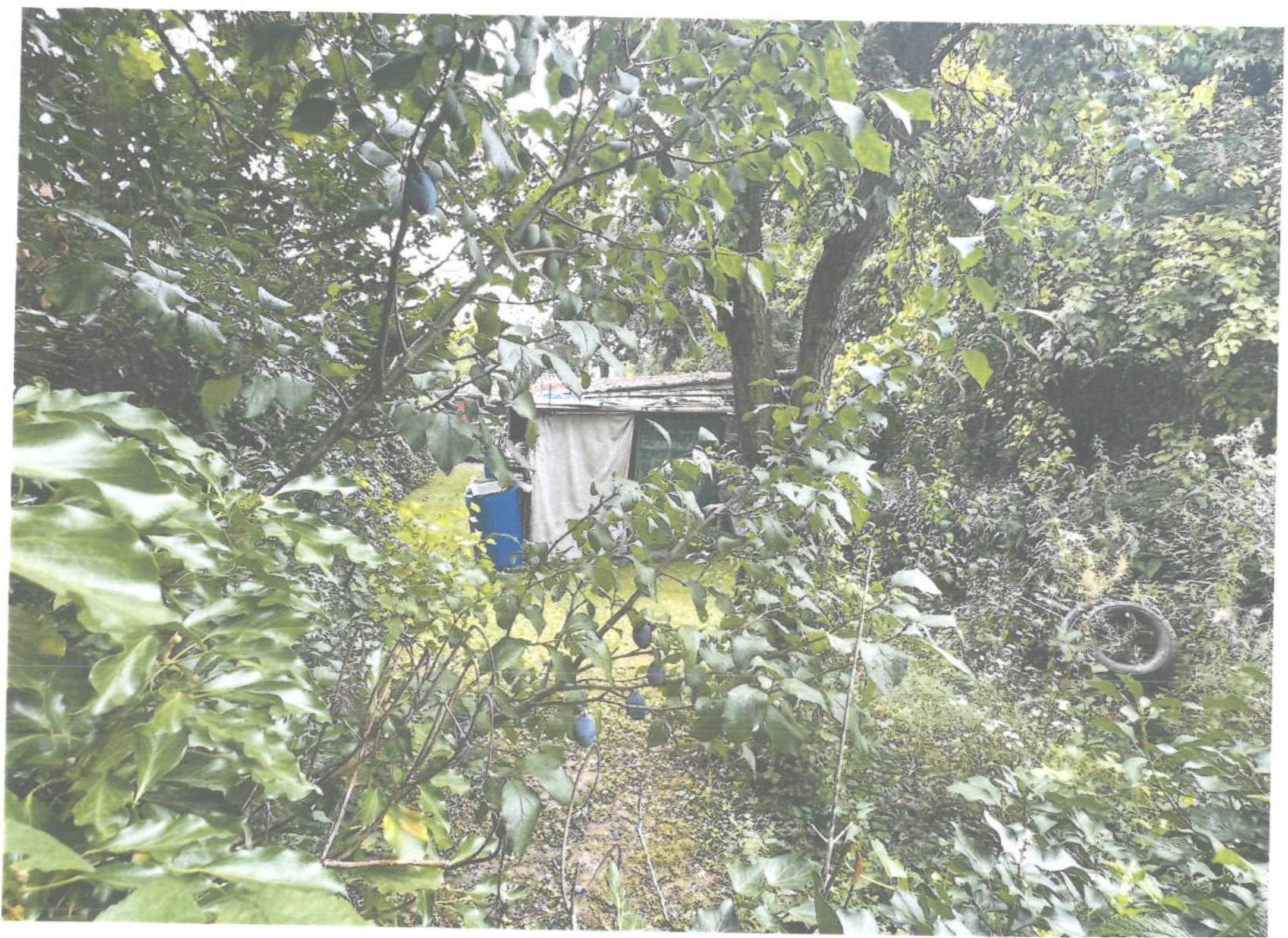 hessen 0063 K 0019/2024 Hetgesborn, 35510 Butzbach 6