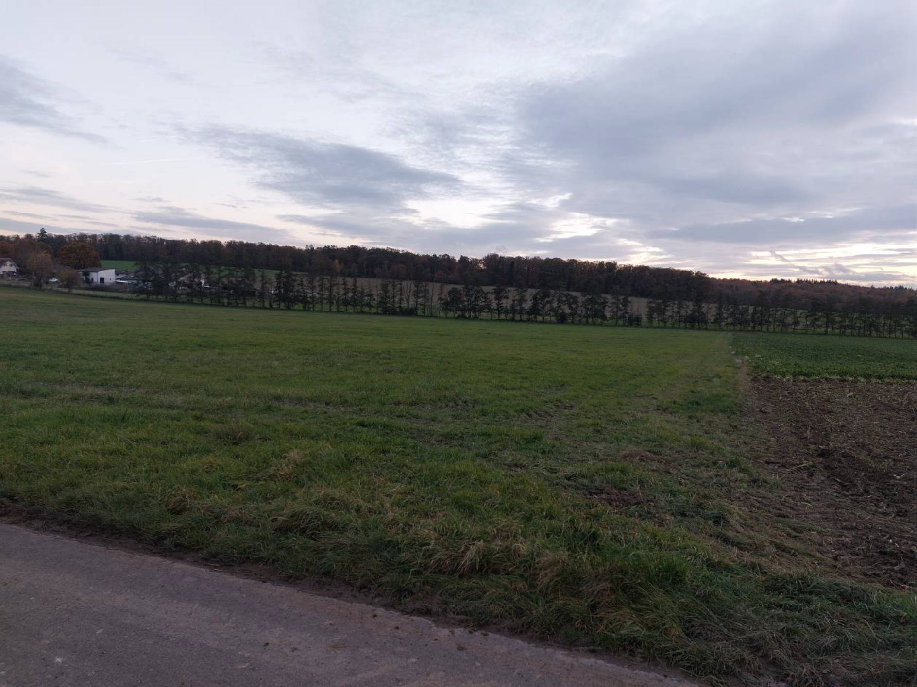 land- und forstwirtschaftlich genutztes Grundstück in Kalte Wiesen, 35516 Münzenberg