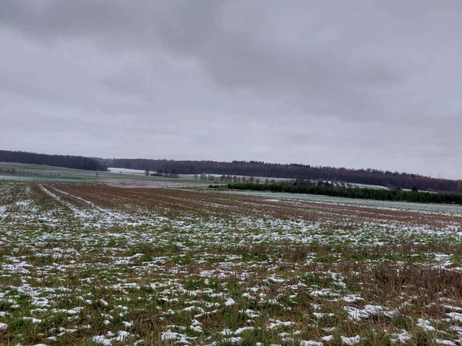 land- und forstwirtschaftlich genutztes Grundstück in In den Spießen, 35516 Münzenberg