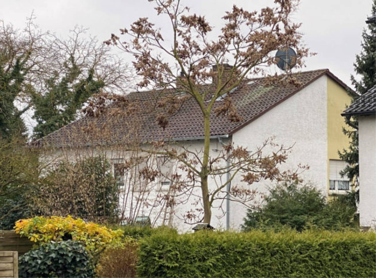 Zweifamilienhaus in Sonnenweg 24, 61231 Bad Nauheim, Rödgen