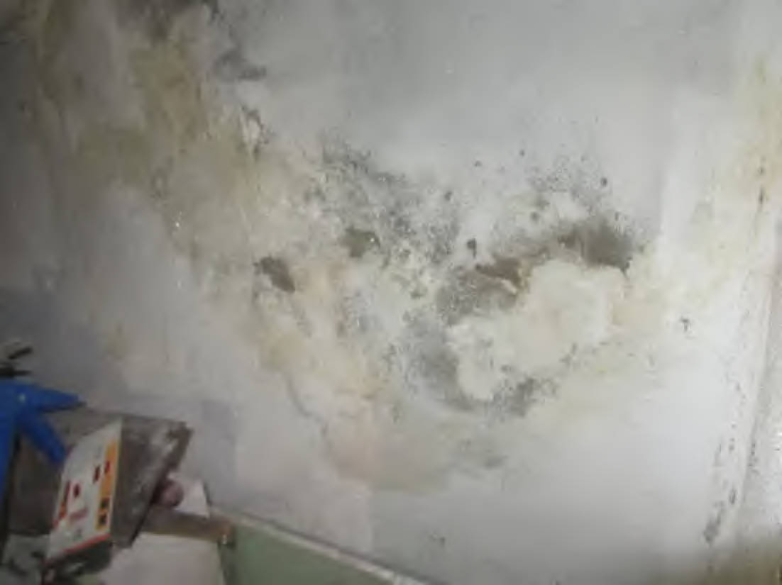 hessen 0065 K 0056/2024 Paul-Hallmann-Straße  12, 61206 Wöllstadt, Nieder-Wöllstadt 27