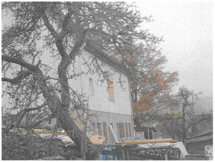 Einfamilienhaus in Oberland 9, 35239 Steffenberg - Bild 4