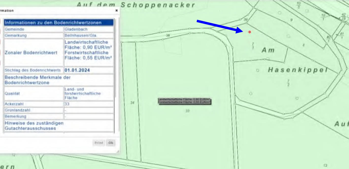 land- und forstwirtschaftlich genutztes Grundstück in Am Hasenkippel, 35075 Gladenbach, Bellnhausen - Bild 3