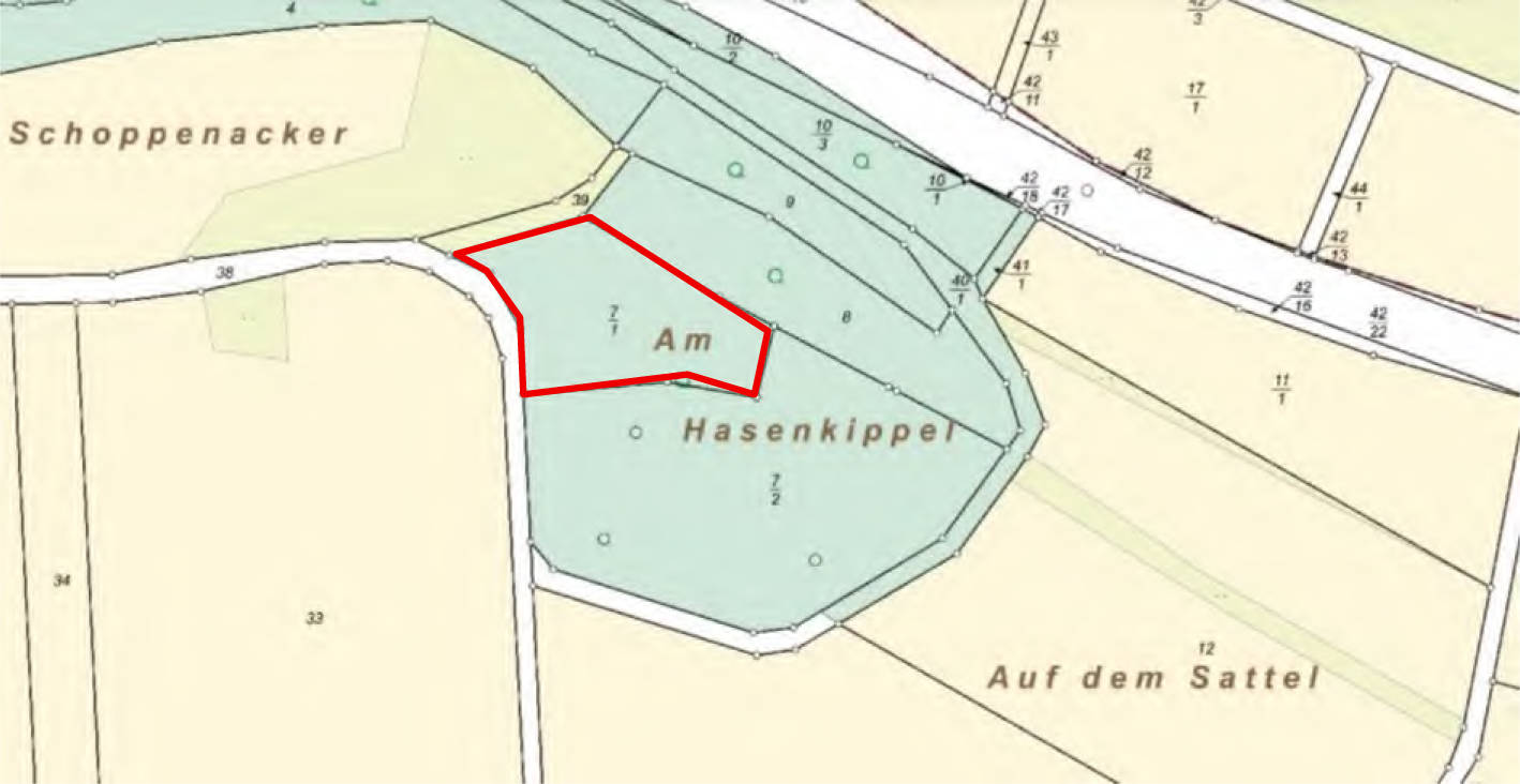 land- und forstwirtschaftlich genutztes Grundstück in Am Hasenkippel, 35075 Gladenbach, Bellnhausen - Bild 2