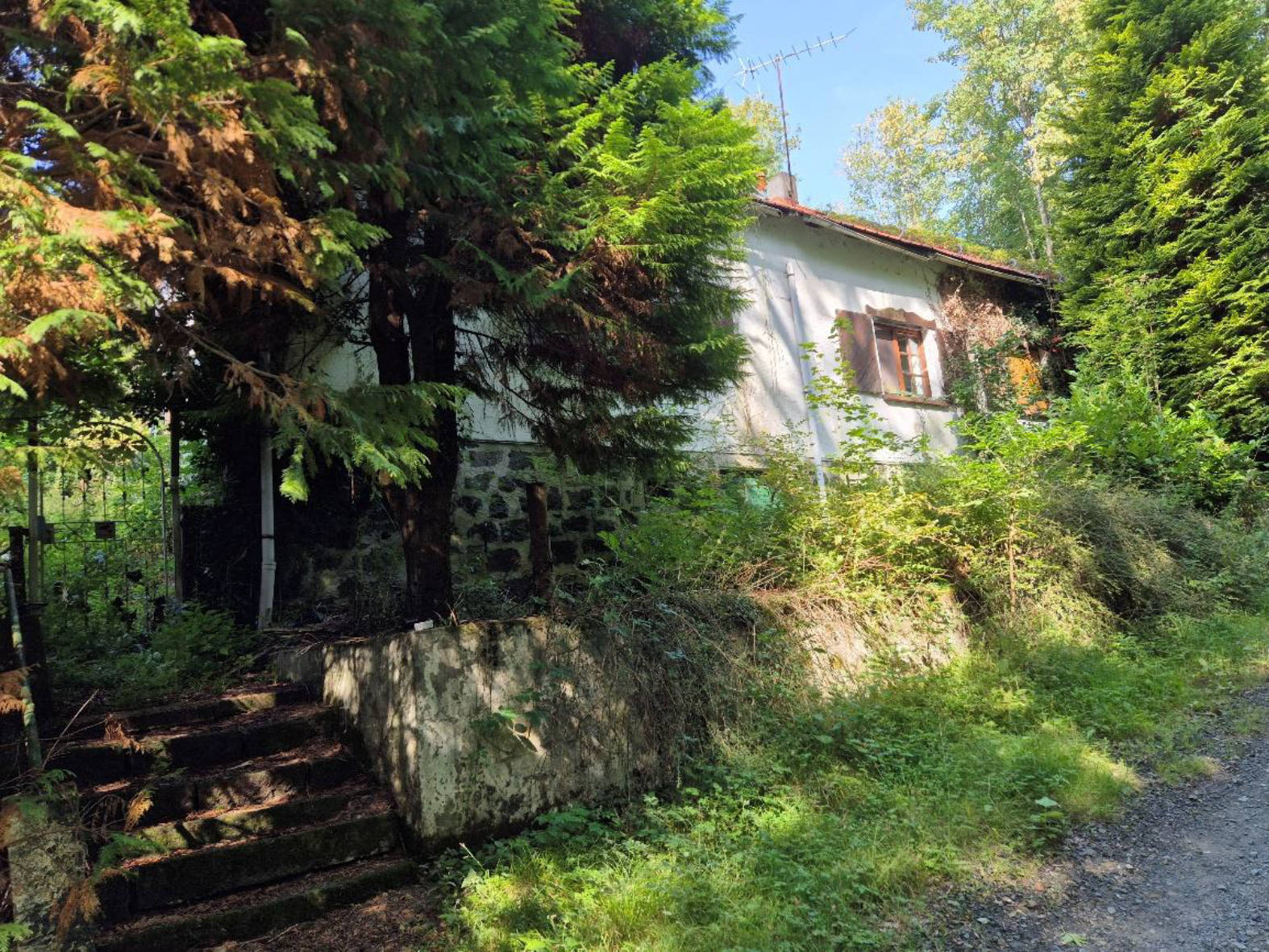 hessen 0070 K 0006/2025 Hilsberg 1, 35232 Dautphetal 8