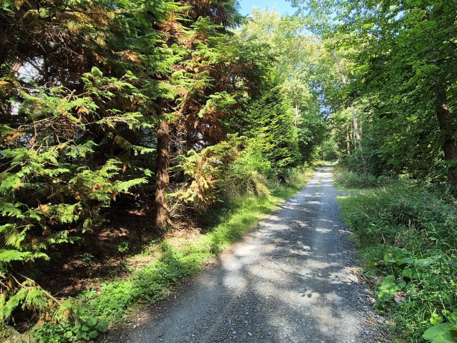 hessen 0070 K 0006/2025 Hilsberg 1, 35232 Dautphetal 12