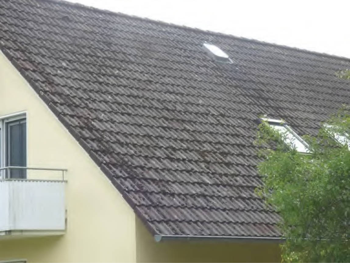 hessen 0070 K 0010/2025 Grünewaldstraße 30, 35216 Biedenkopf 6