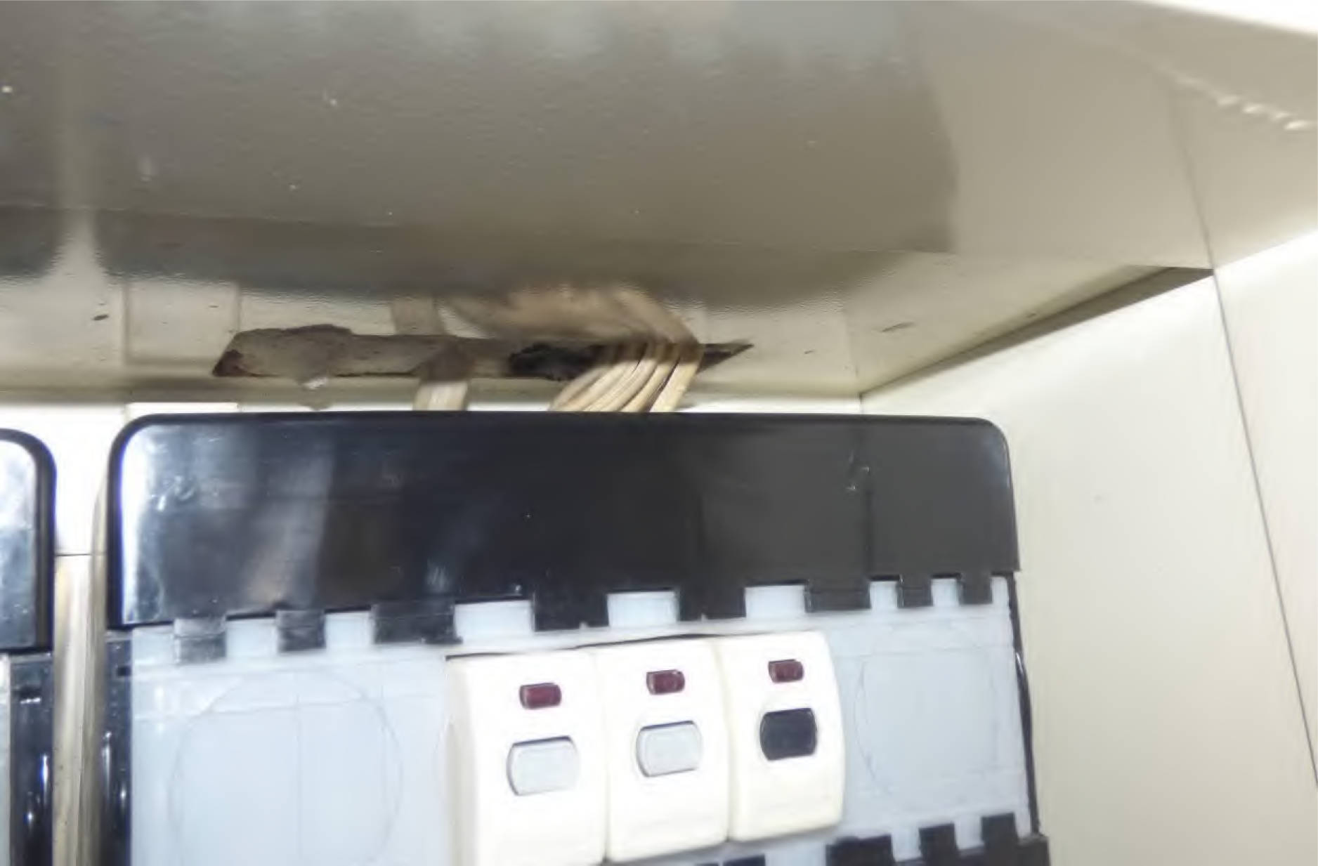 hessen 0070 K 0010/2025 Grünewaldstraße 30, 35216 Biedenkopf 24