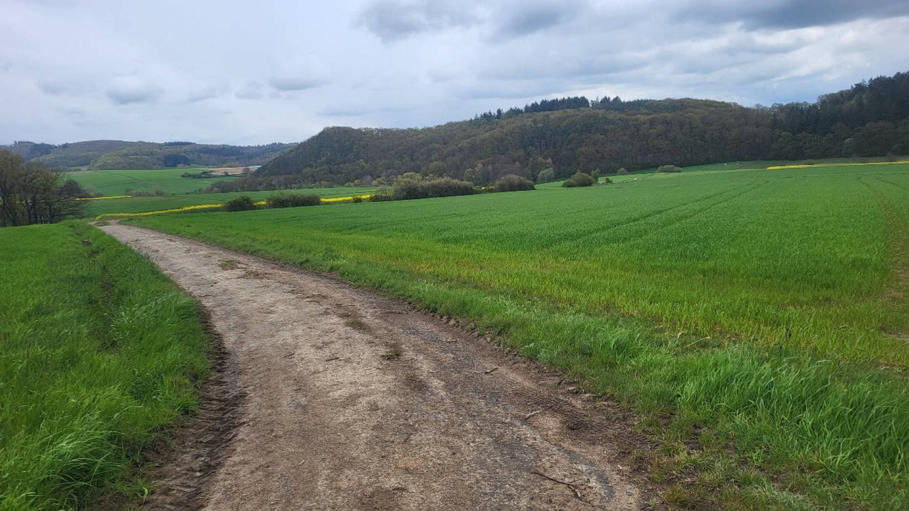 hessen 0070K0026-2023 im hinteren Mittelscheid, 35075 Gladenbach, Sinkerskausen 7