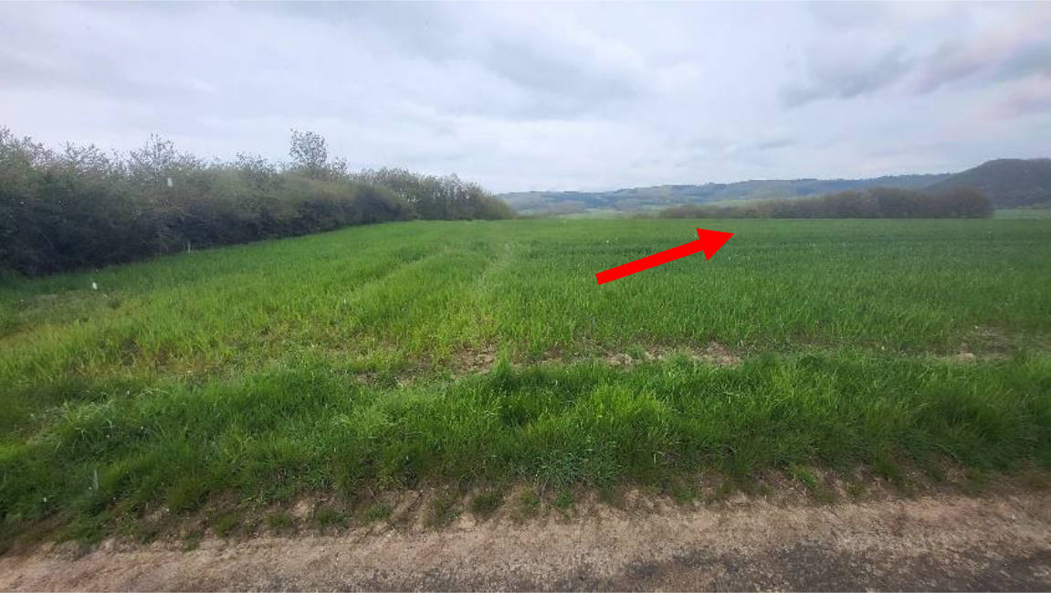 hessen 0070K0026-2023 im hinteren Mittelscheid, 35075 Gladenbach, Sinkerskausen 14