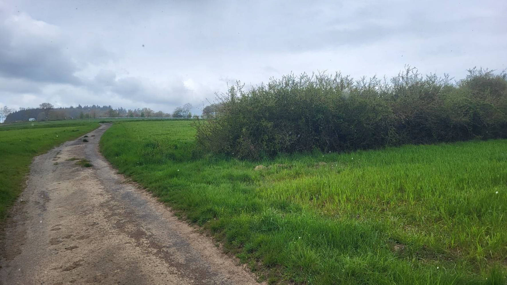 land- und forstwirtschaftlich genutztes Grundstück in im hinteren Mittelscheid, 35075 Gladenbach, Sinkerskausen - Bild 5