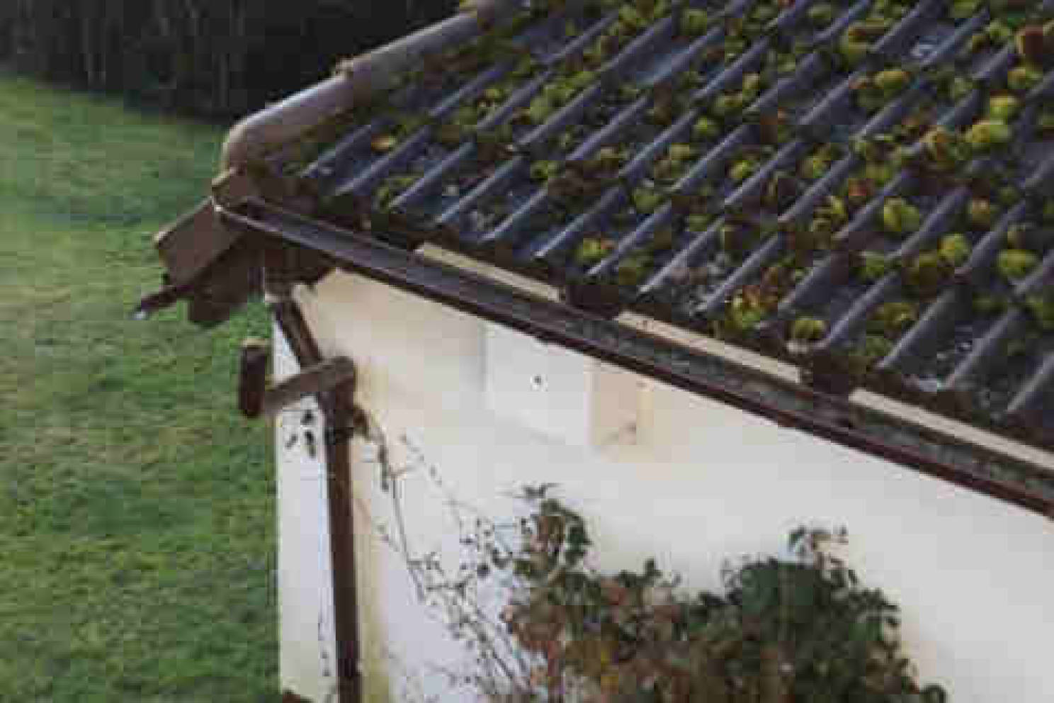 hessen 0075K0020-2020 Am Steilhang 4, 35781 Weilburg, Gaudernbach 10