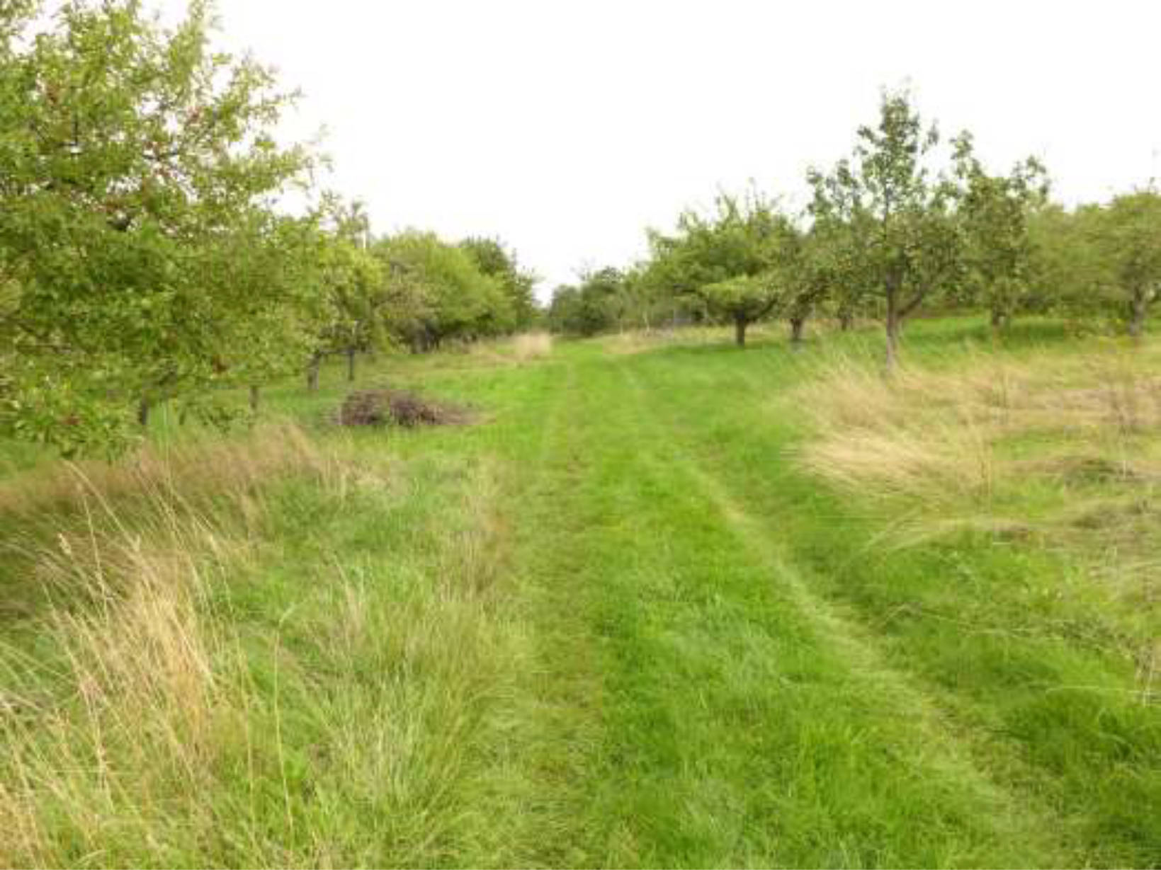 hessen 0077K0012/2023 Ober dem Hahlgarten, 35789 Weilmünster, Laubuseschbach 7