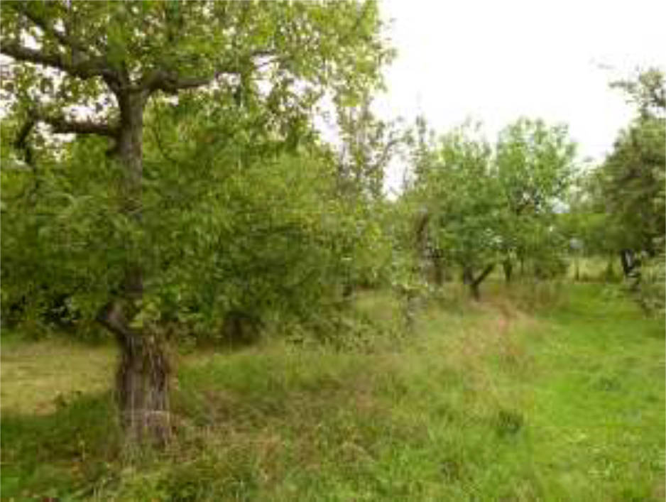 hessen 0077K0012/2023 Ober dem Hahlgarten, 35789 Weilmünster, Laubuseschbach 10