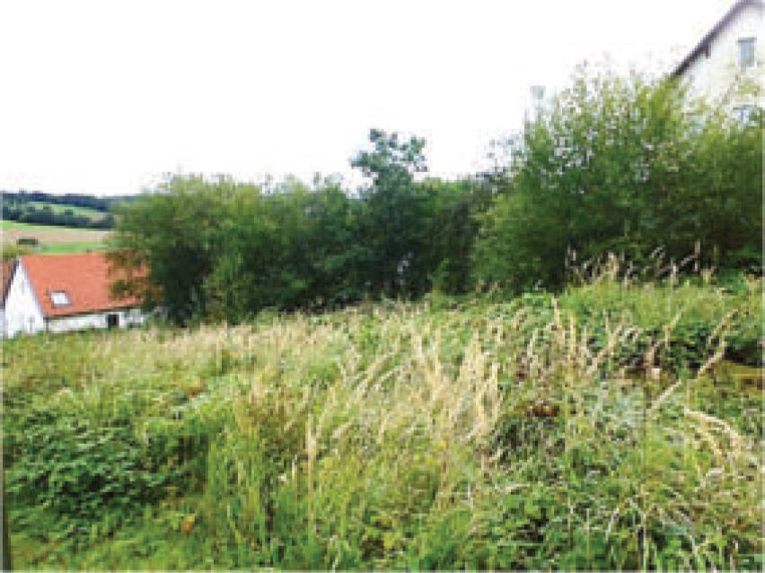 Doppelhaushälfte in Triebstraße 6, 63636 Wächtersbach, Hesseldorf - Bild 5