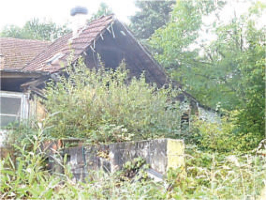 Doppelhaushälfte in Triebstraße 6, 63636 Wächtersbach, Hesseldorf - Bild 4