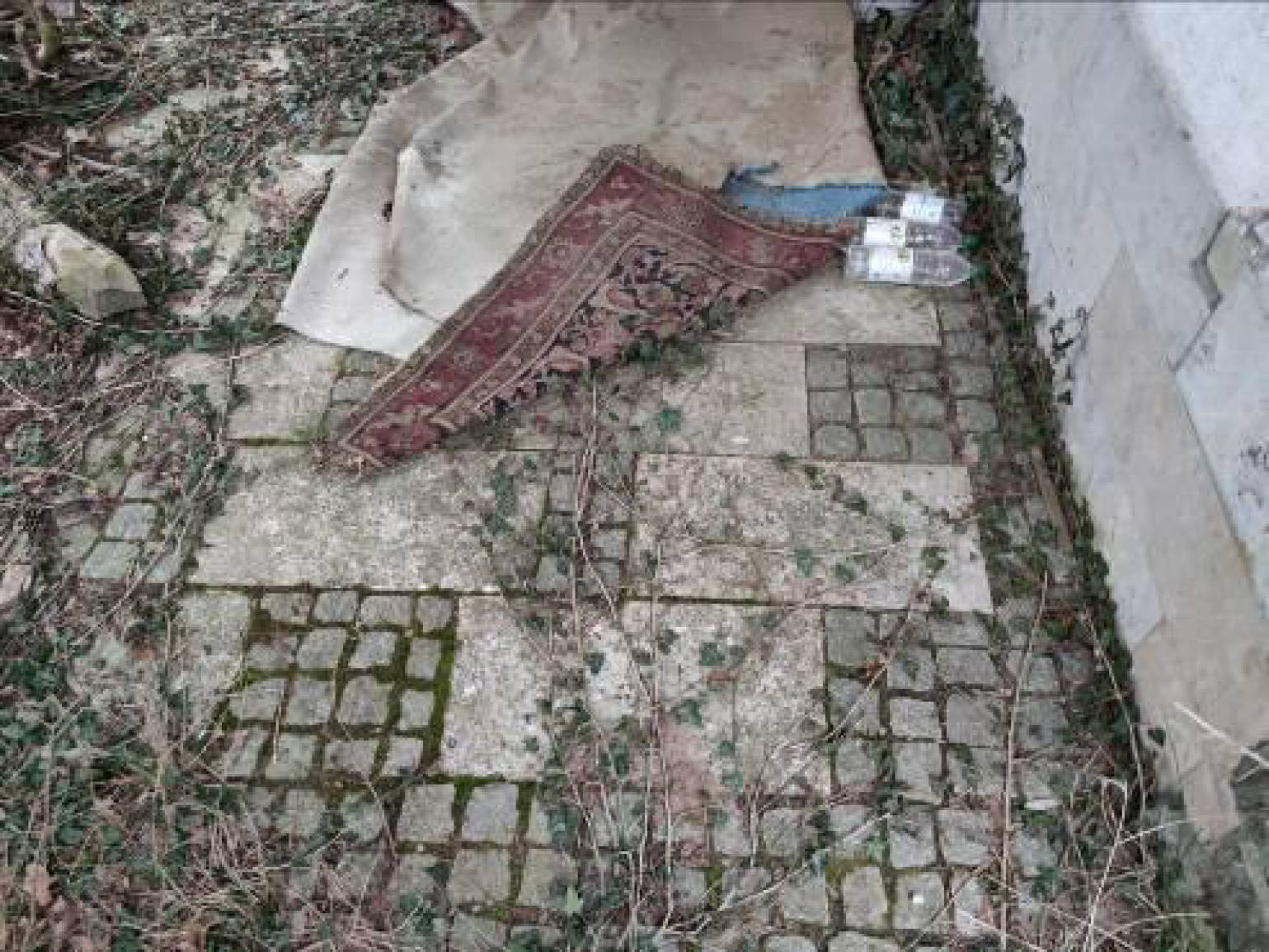 hessen 0082 K 0029/2023 Am Hüßberg 52, 63639 Flörsbachtal, Lohrhaupten 13