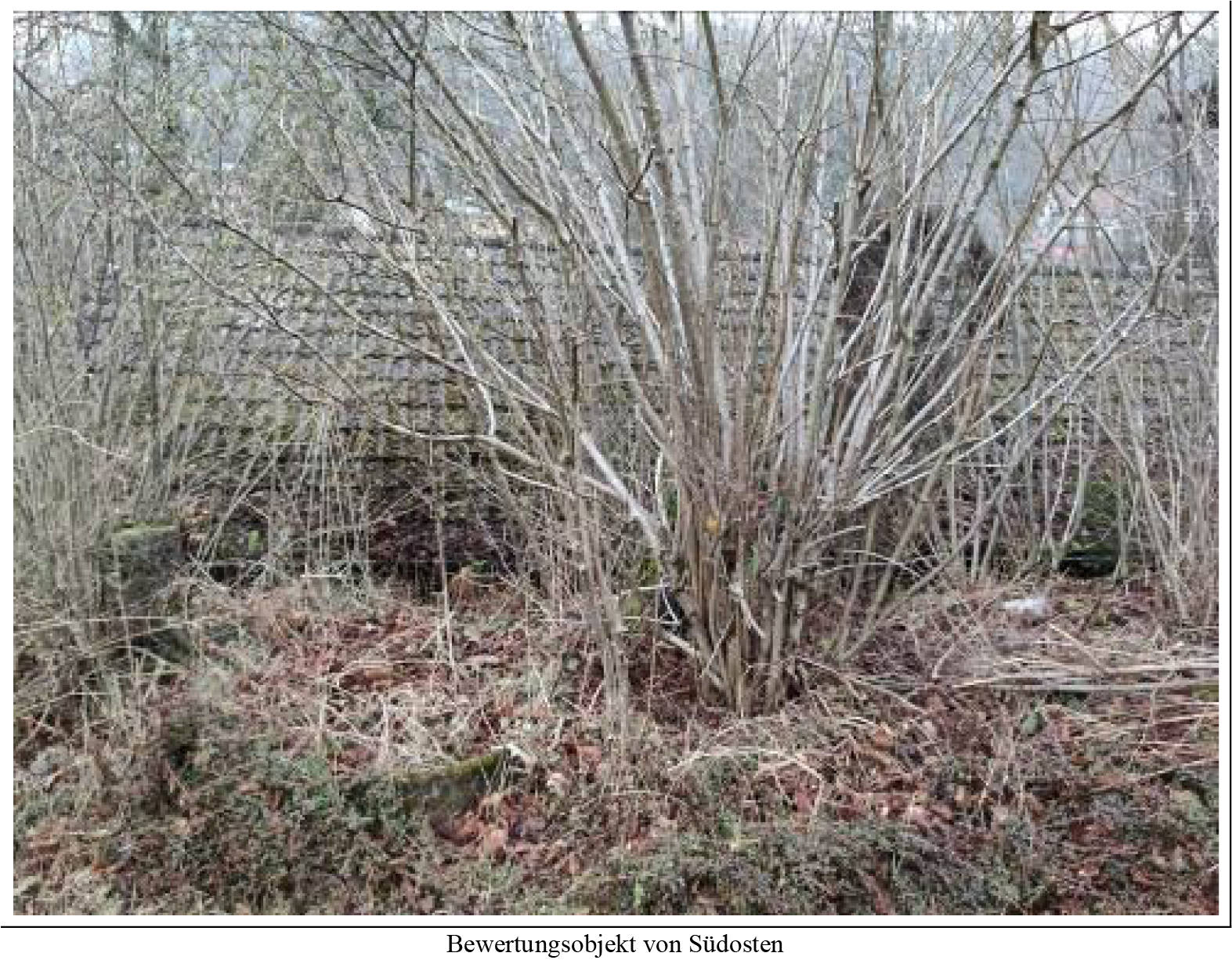 hessen 0082 K 0029/2023 Am Hüßberg 52, 63639 Flörsbachtal, Lohrhaupten 8