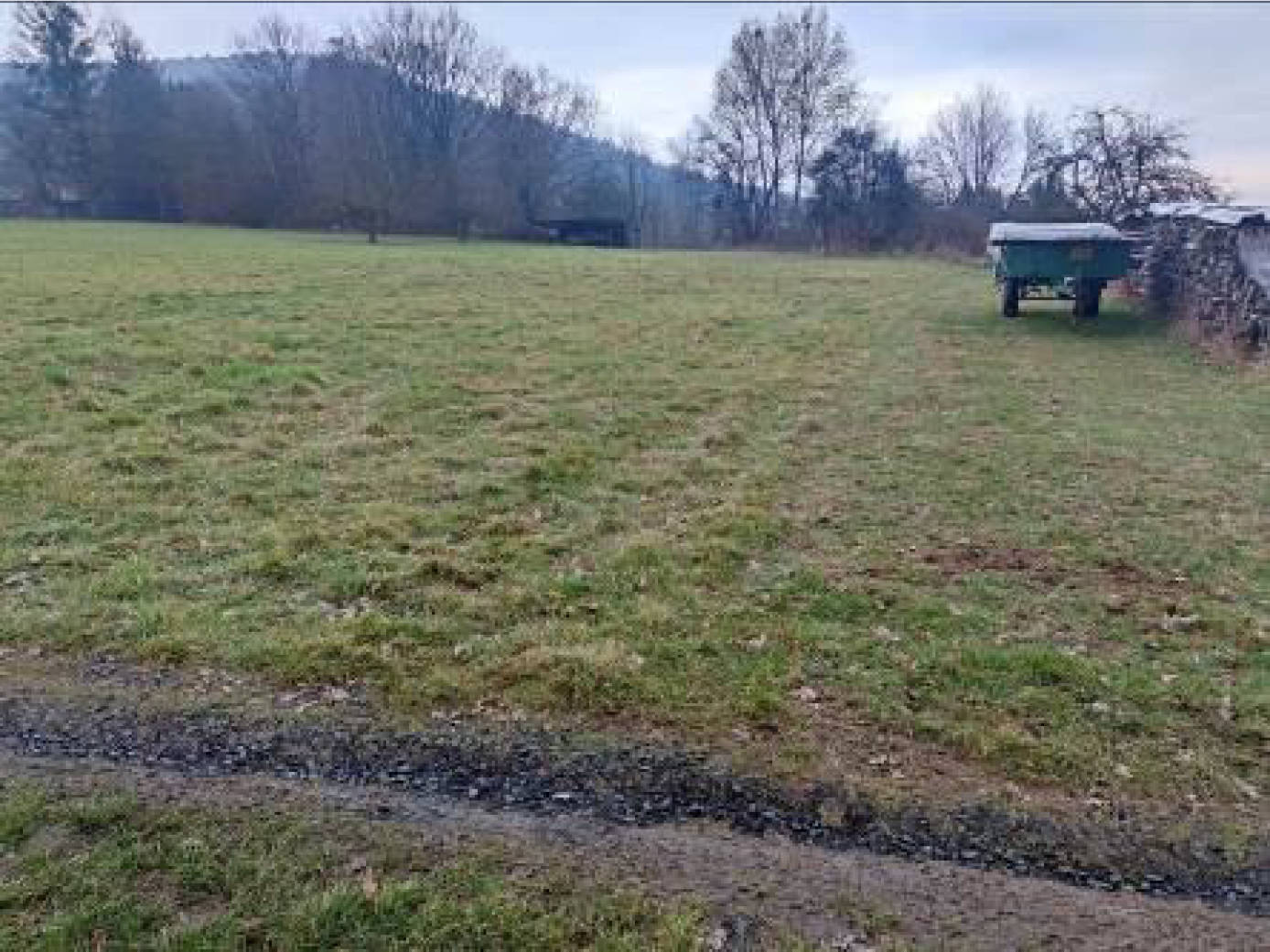 land- und forstwirtschaftlich genutztes Grundstück in Weidig, 63599 Biebergemünd, Roßbach - Bild 2