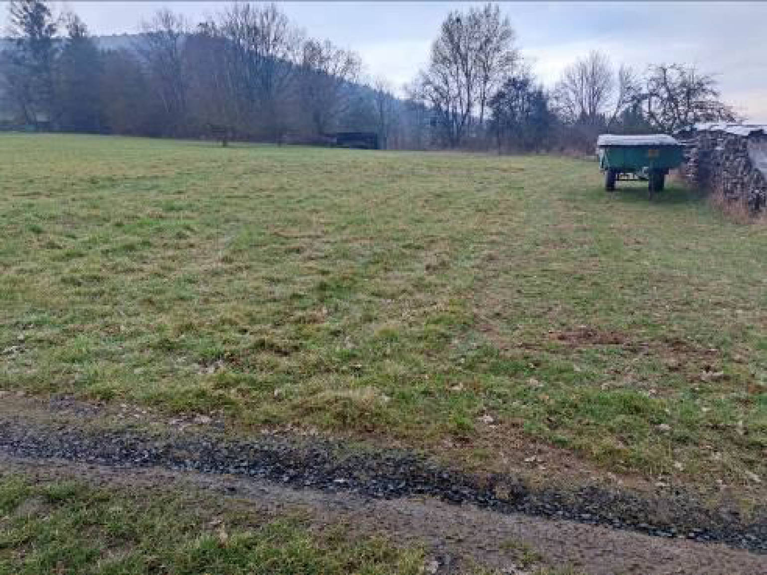 land- und forstwirtschaftlich genutztes Grundstück in Weidig, 63599 Biebergemünd, Roßbach - Bild 4