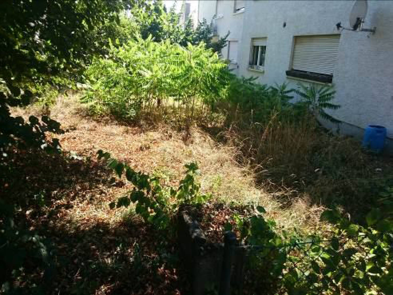 Eigentumswohnung (1 bis 2 Zimmer), sonstiges Teileigentum (z.B. Keller, Hobbyraum) in Am Sportfeld 8 (vormals 12), 63579 Freigericht, Somborn - Bild 3