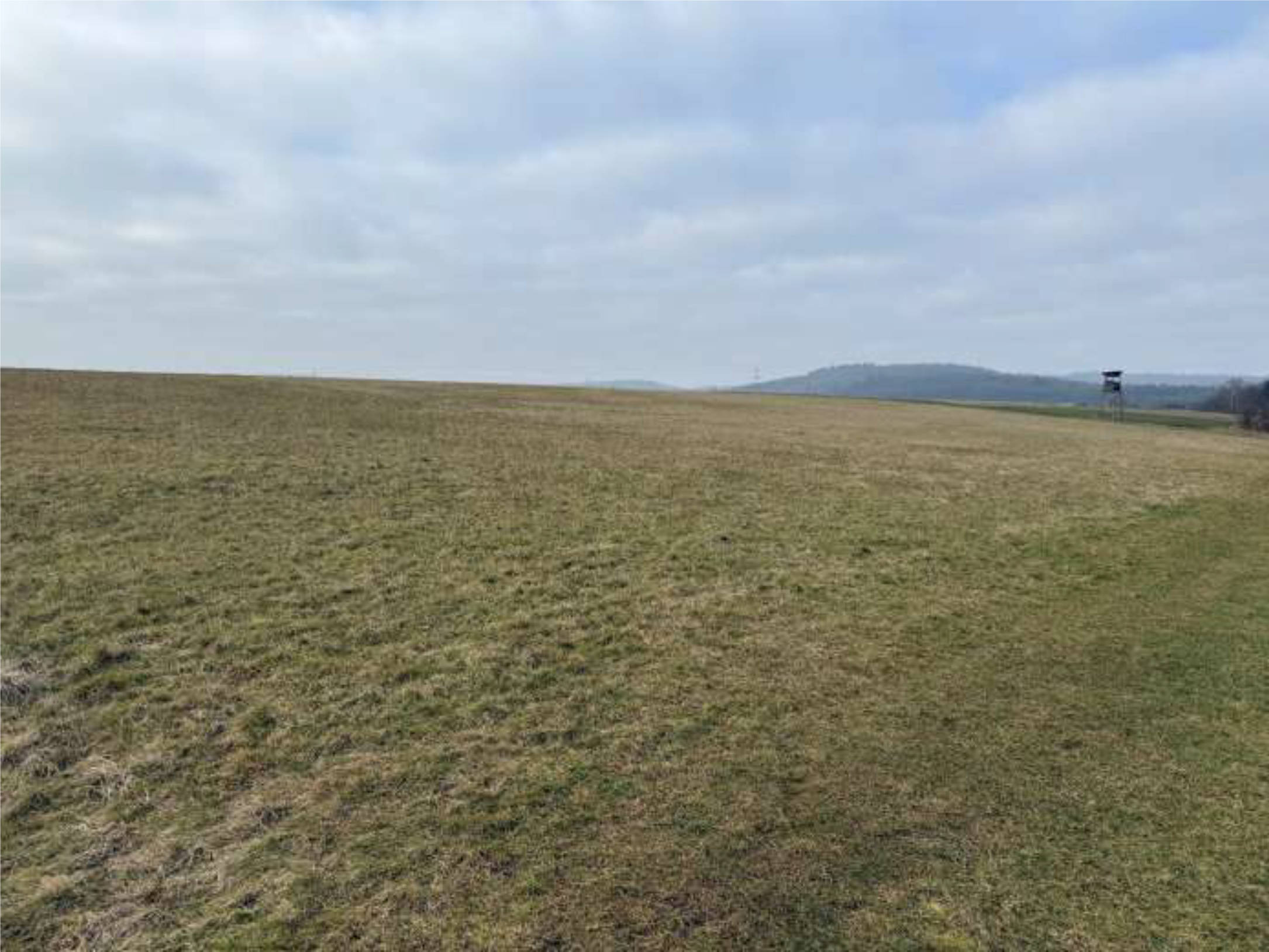 land- und forstwirtschaftlich genutztes Grundstück in Die Herrenwies / Auf´m Harres, 35614 Aßlar
