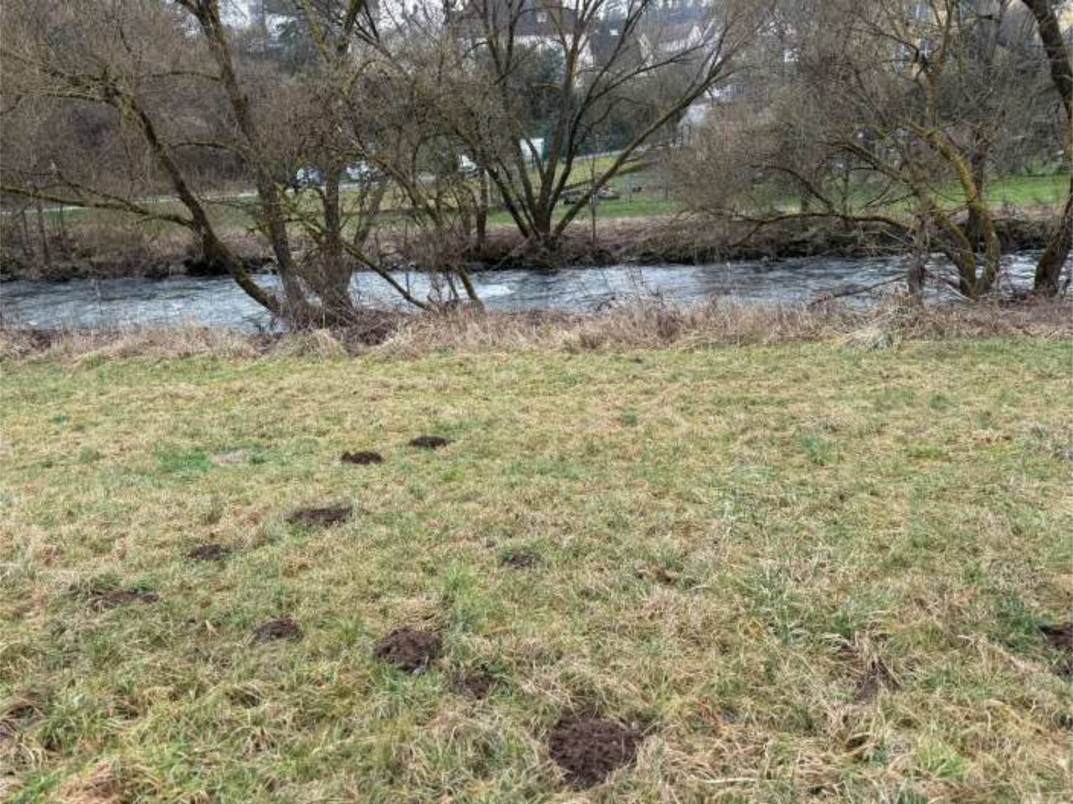 land- und forstwirtschaftlich genutztes Grundstück in Die Herrenwies / Auf´m Harres, 35614 Aßlar - Bild 5