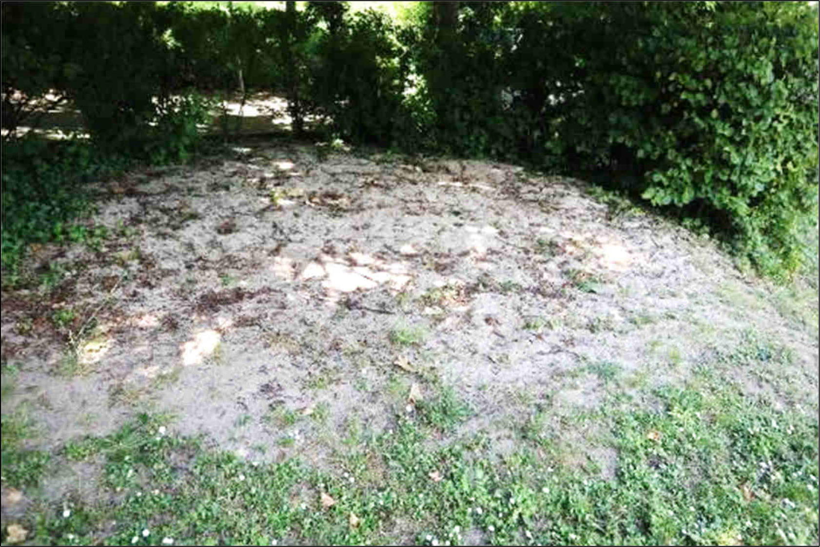 hessen 0095 K 0003/2019 Wiesbadener Weg 8, 65812 Bad Soden 16