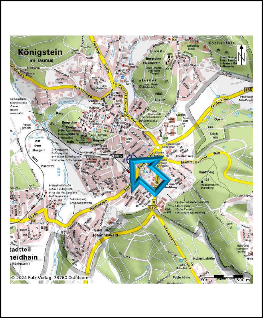 hessen 0095 K 0017/2024 Wiesbadener Str. 50, 62462 Königstein im Taunus 28