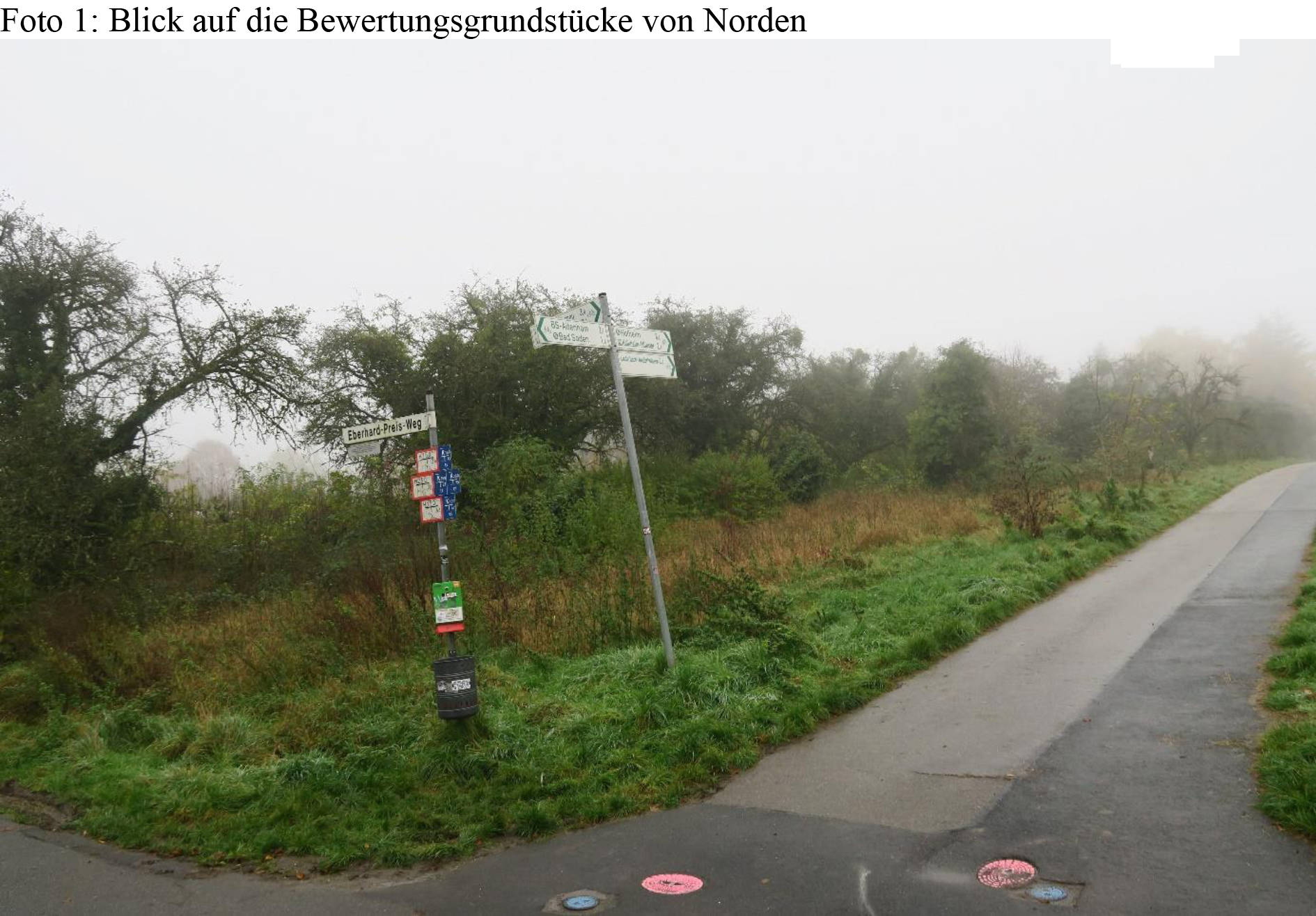 land- und forstwirtschaftlich genutztes Grundstück in Carlusbaum, 65812 Bad Soden am Taunus - Bild 2