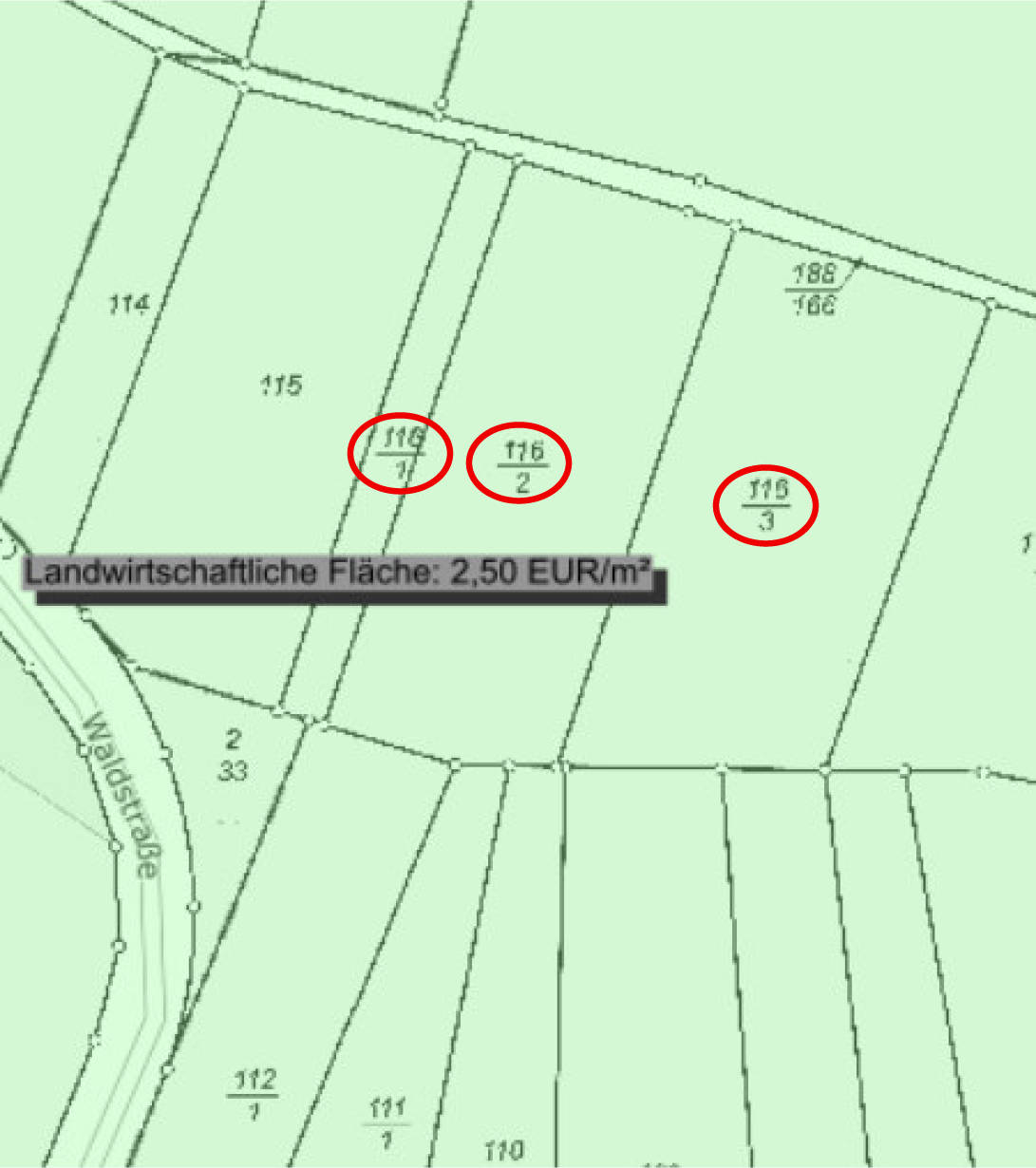 land- und forstwirtschaftlich genutztes Grundstück 0095 K 0043-2024 Kellerbornswiesen, 61389 Schmitten, Oberreifenberg