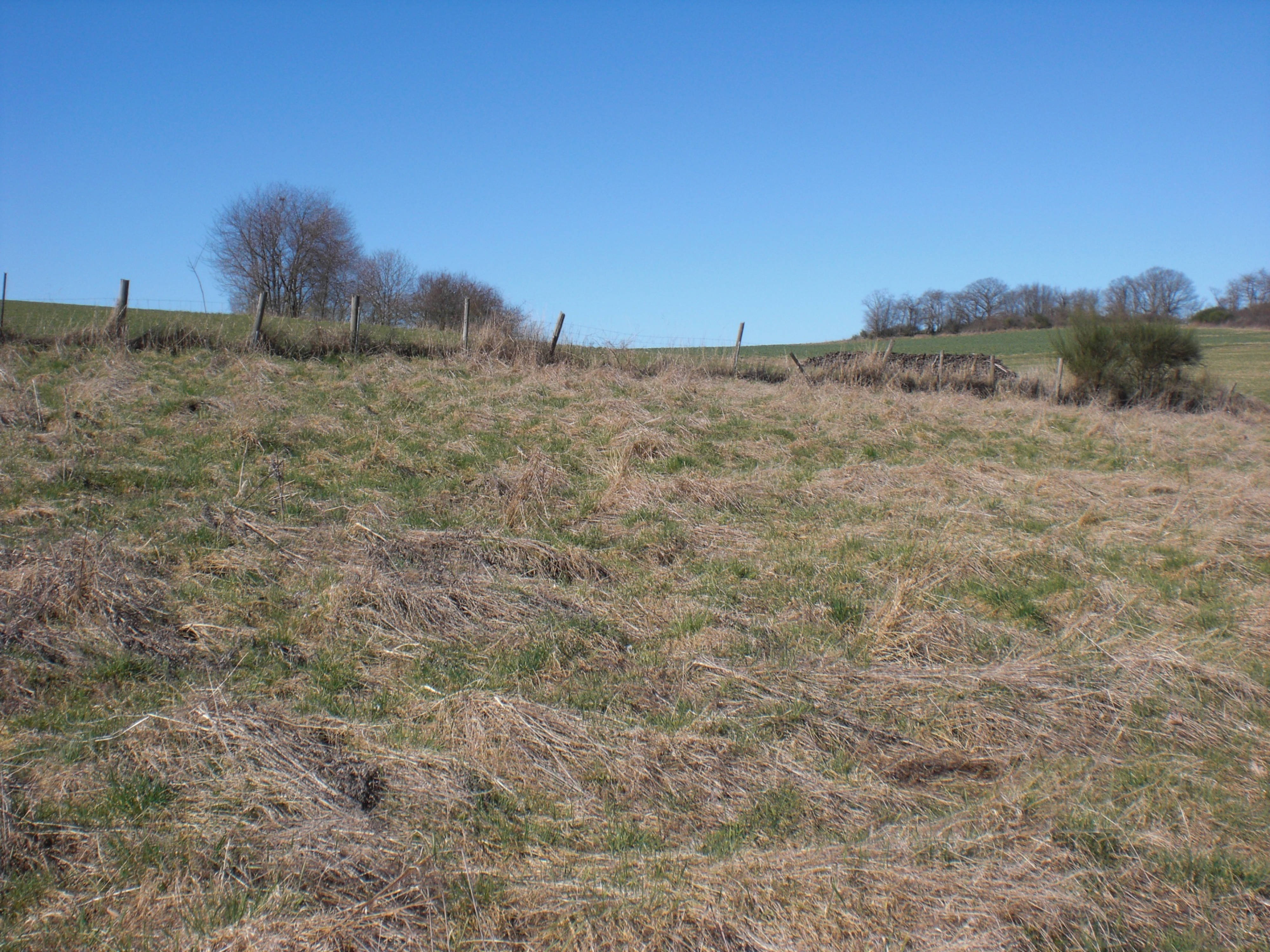land- und forstwirtschaftlich genutztes Grundstück in Rindfeld, 35428 Langgöns, Cleebertg