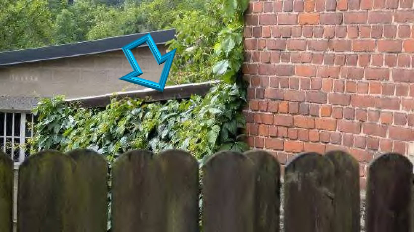 hessen 0420 K 0010/2025 Kolnhäuser Straße 26, 35423 Lich 7