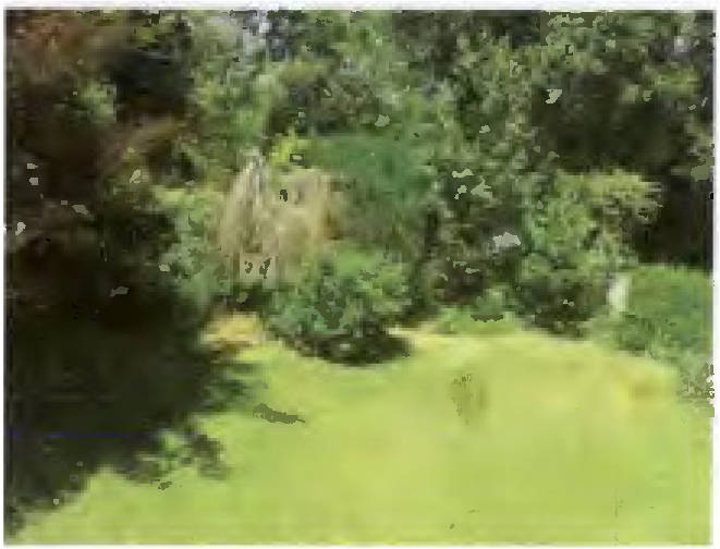 hessen 0420 K 0015/2025 Wohnpark Gullringen 23, 35321 Laubach, Wetterfeld 21