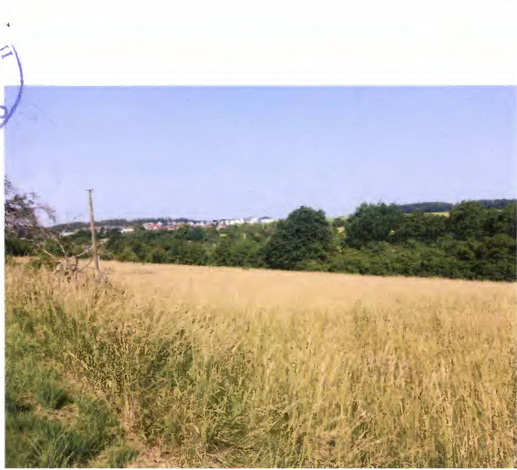 land- und forstwirtschaftlich genutztes Grundstück 0420 K 0022-2025 Auf dem Hangeluh Hutung, 35447 Reiskirchen, Bersrod