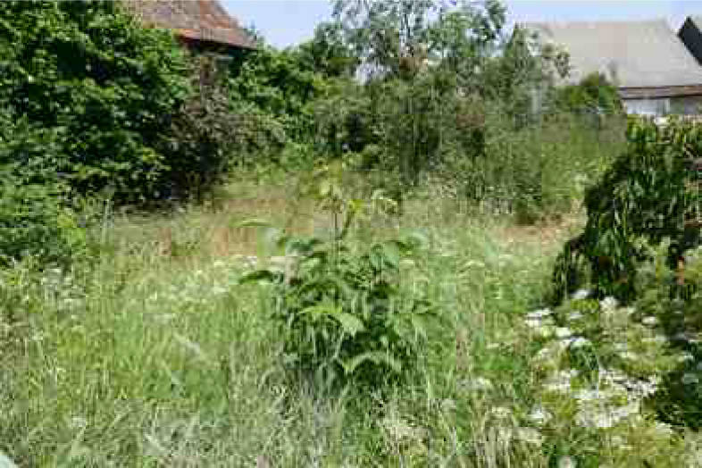 hessen 0420 K 0023/2025 Hessenstraße 3, 35410 Hungen, Steinheim 8