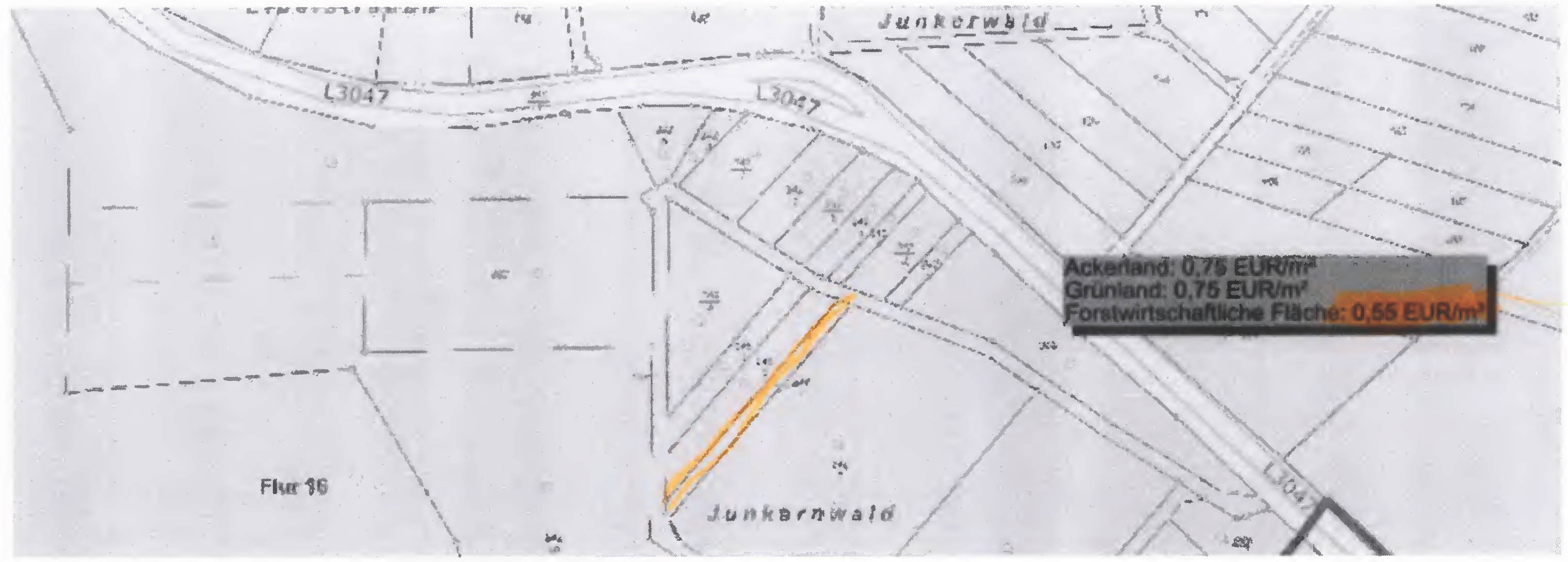 land- und forstwirtschaftlich genutztes Grundstück 0420 K 0031-2024 Waldfläche Junkernwald, 35444 Biebertal, Krumbach