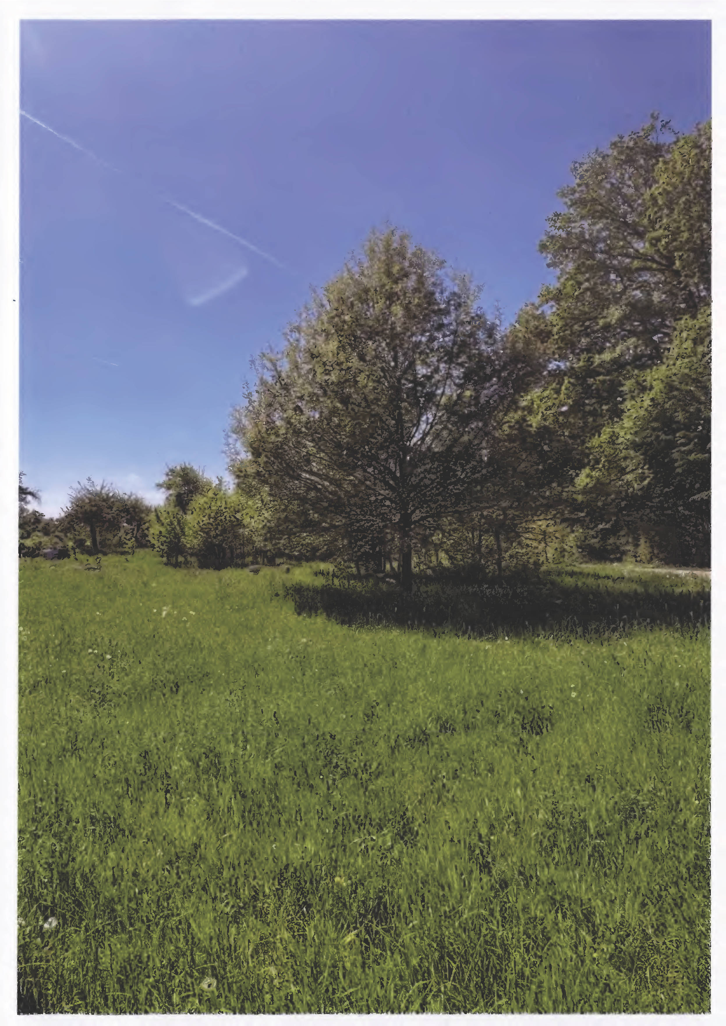 land- und forstwirtschaftlich genutztes Grundstück in Am Alten Hain, 00000 Steinbach, Fernwald - Bild 4