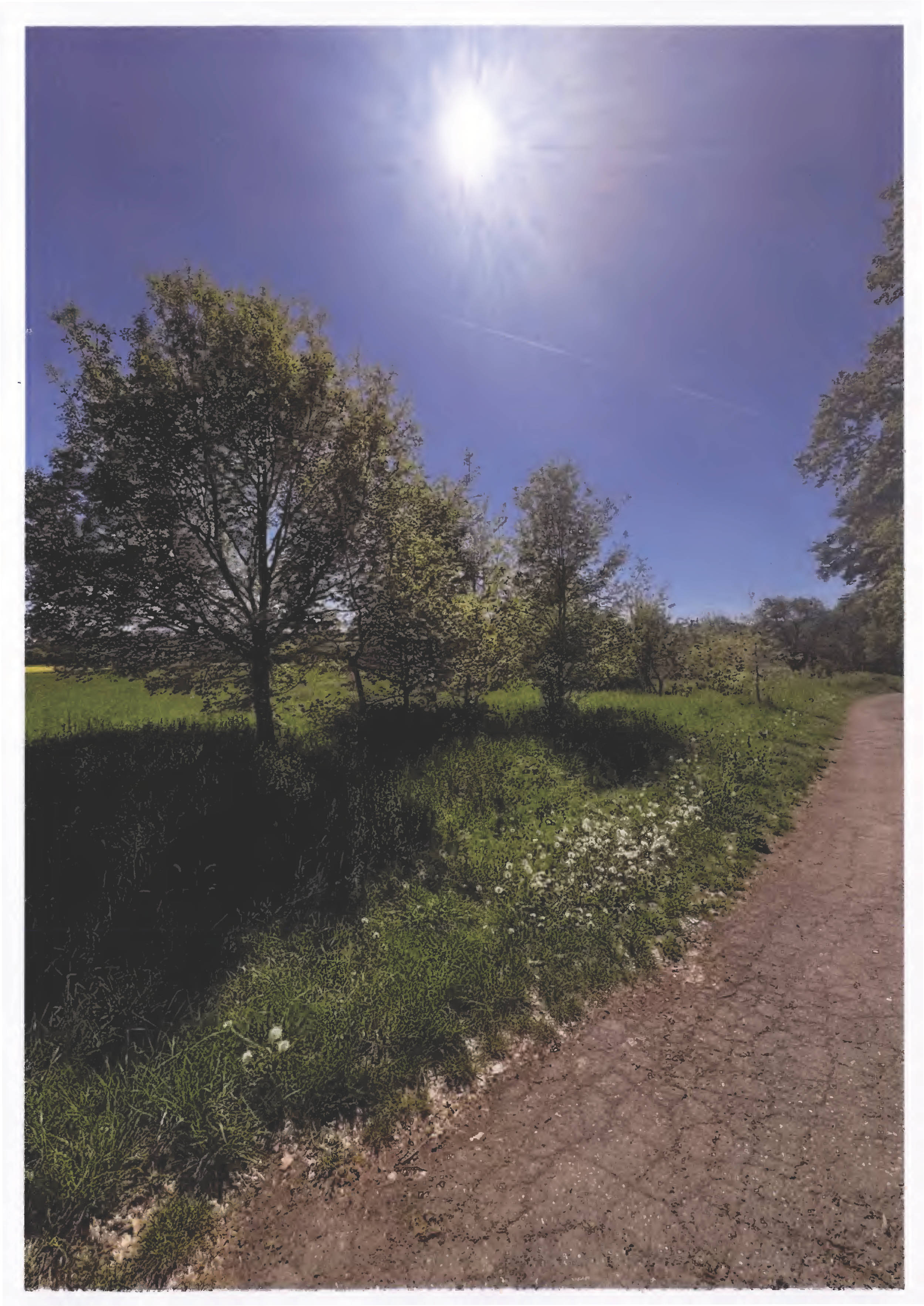 land- und forstwirtschaftlich genutztes Grundstück in Am Alten Hain, 00000 Steinbach, Fernwald - Bild 3