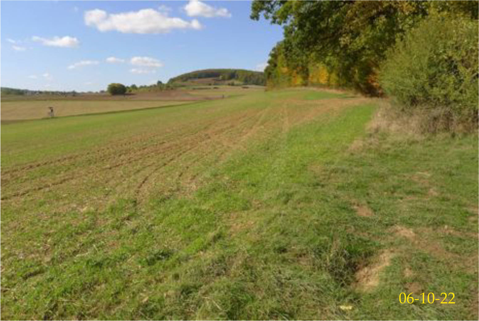hessen 0640K0042/2023 Im Ölsbruch, 34479 Breuna, Niederlistingen 9