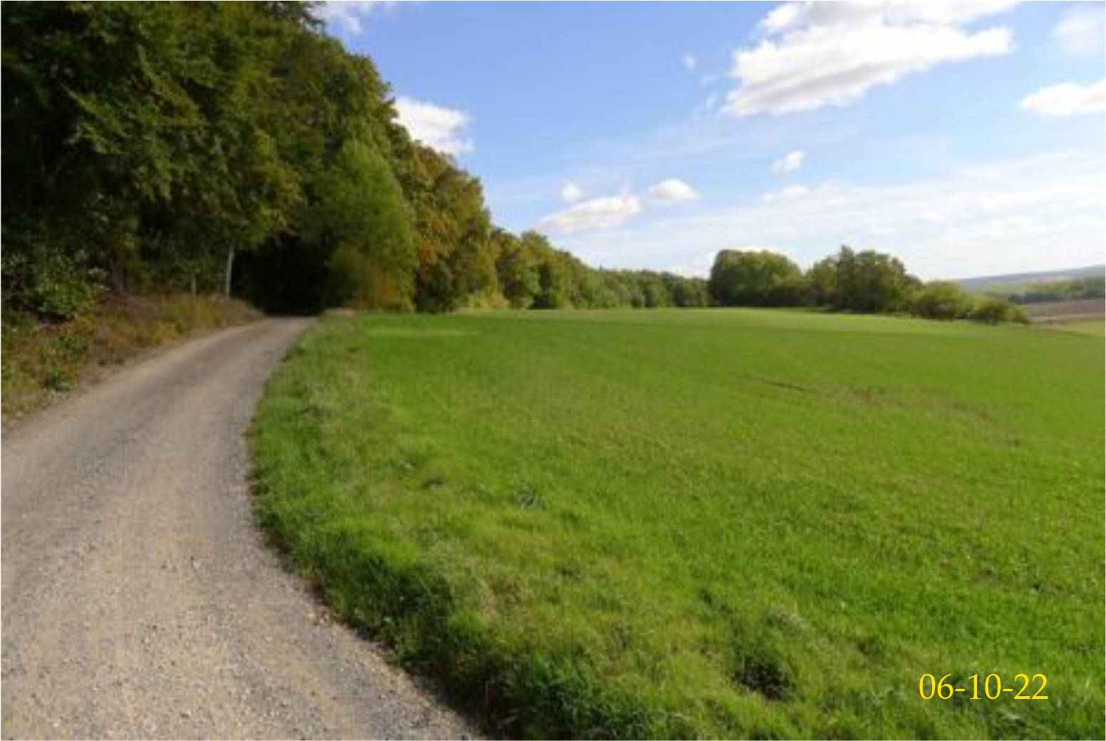 land- und forstwirtschaftlich genutztes Grundstück in Im Ölsbruch, 34479 Breuna, Niederlistingen - Bild 3
