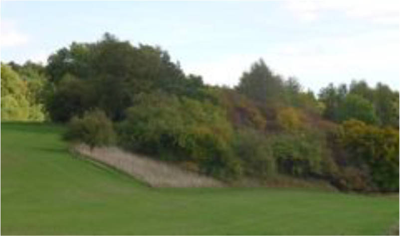 land- und forstwirtschaftlich genutztes Grundstück in Im Ölsbruch, 34479 Breuna, Niederlistingen - Bild 2