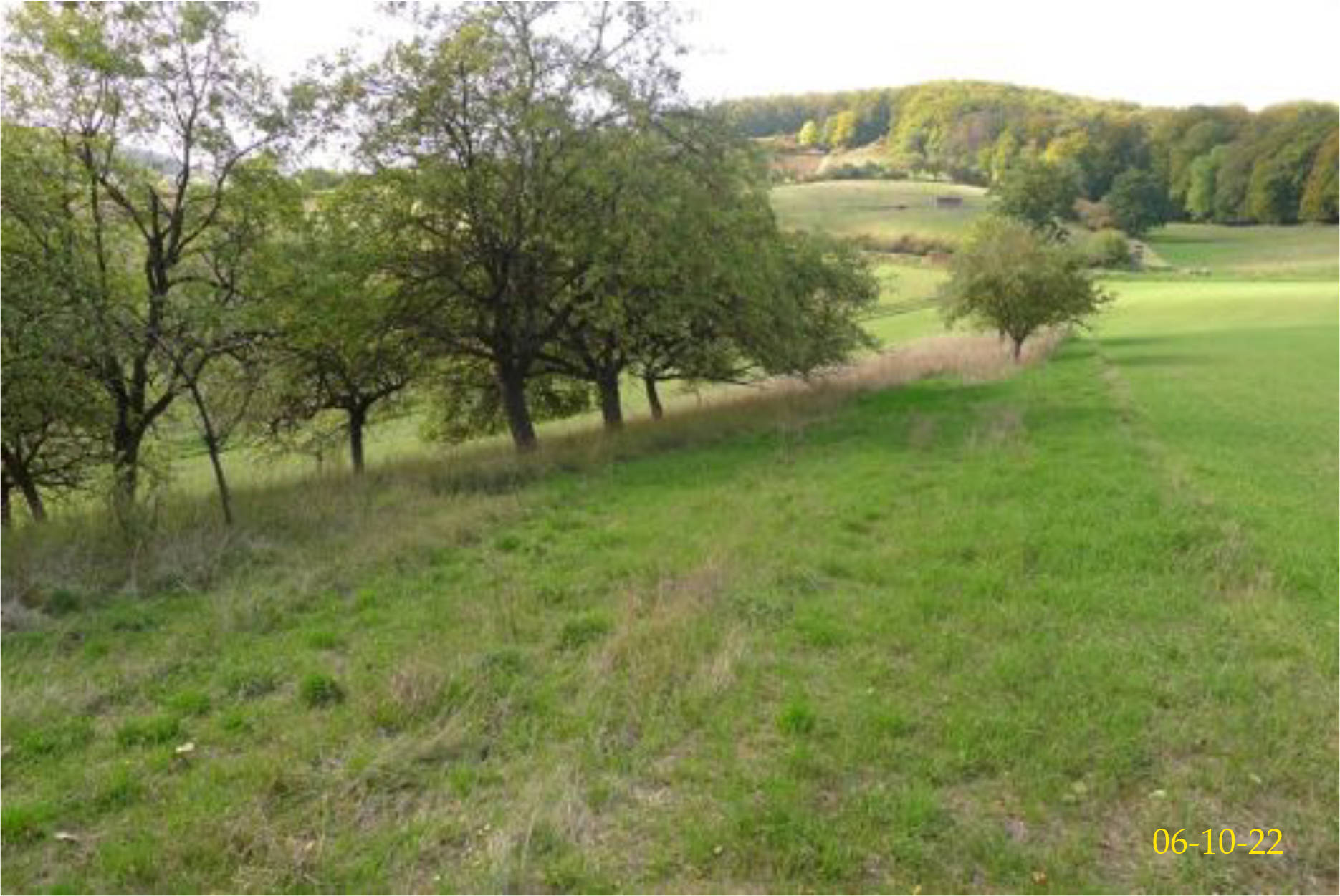hessen 0640K0042/2023 Im Ölsbruch, 34479 Breuna, Niederlistingen 7