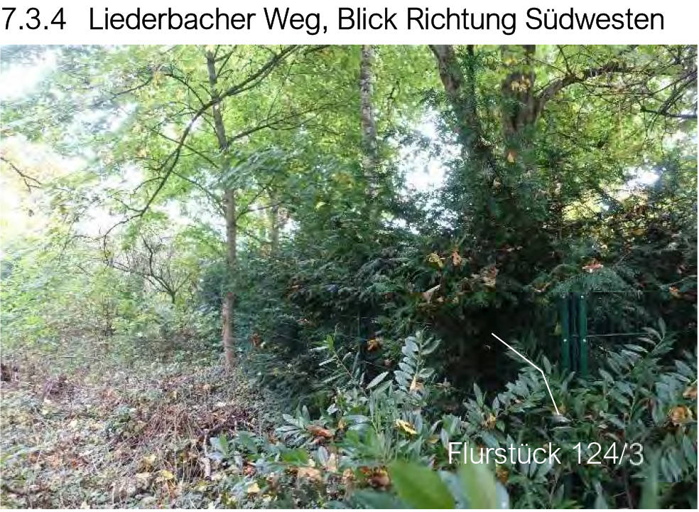 hessen 0841 K 0012/2025 Sindlinger Straße, 65830 Kriftel 8